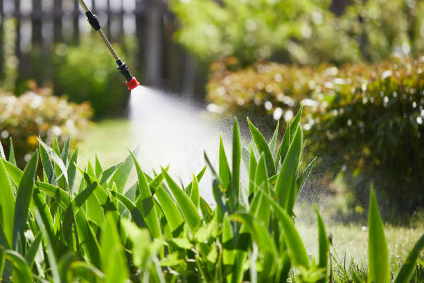 24/7 Emergency Wasp Removal experts in Granville, IL
