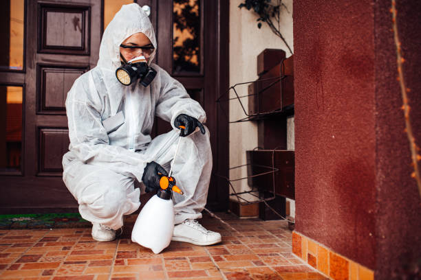 Reliable Wasp Removal contractor in Granville, IL by Show Me Pest Control